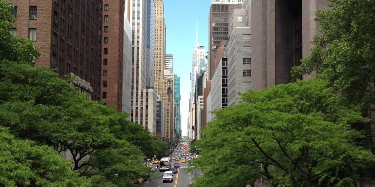 Best BLACKPINK Merchandise 2026: Complete Guide for BLINKs Worldwide