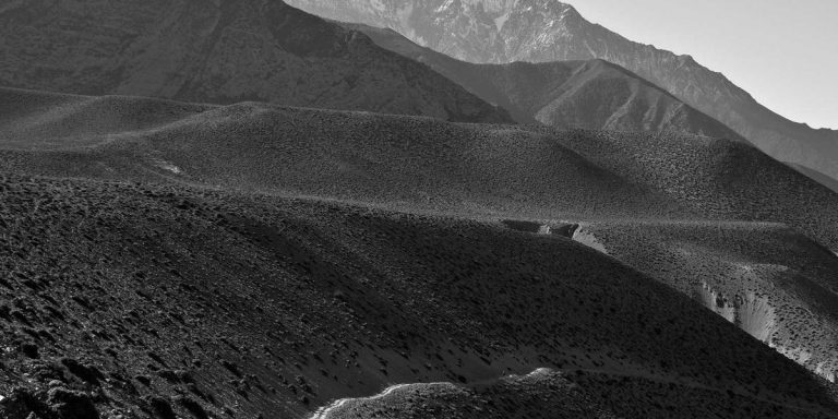 Best Stray Kids Merch 2026: The Ultimate STAY's Shopping Guide