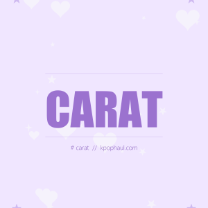CARAT Fandom K-Pop T-Shirt