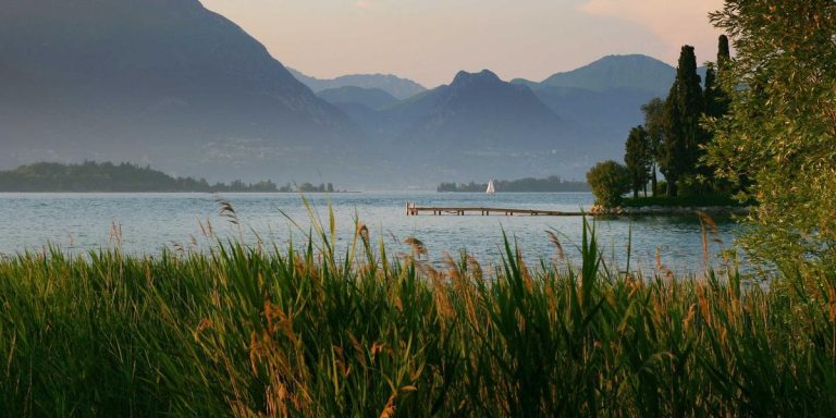 How to Trade K-Pop Photocards Safely: Your Ultimate Fan Guide