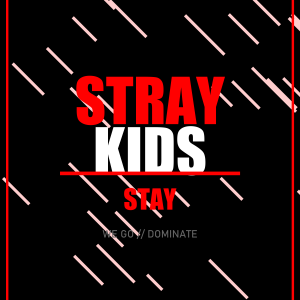 Stray Kids STAY Street K-Pop T-Shirt